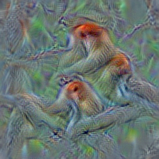n02489166 proboscis monkey, Nasalis larvatus